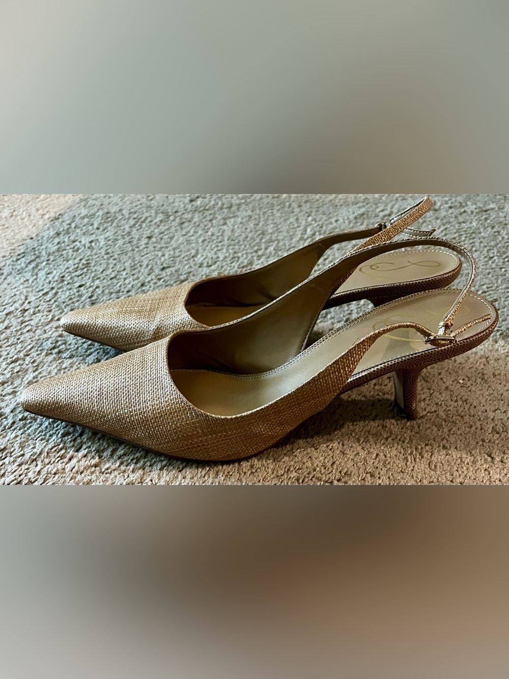 Sam Edelman Bianka Pointed Slingback Heels in Tan